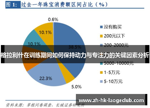格拉利什在训练期间如何保持动力与专注力的关键因素分析