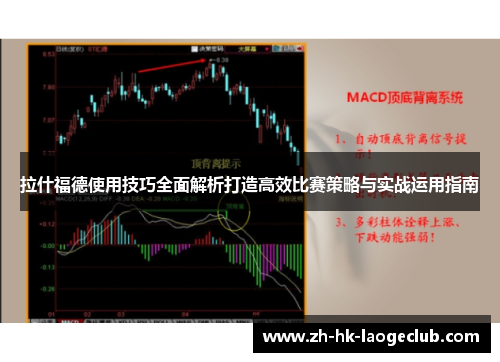 拉什福德使用技巧全面解析打造高效比赛策略与实战运用指南