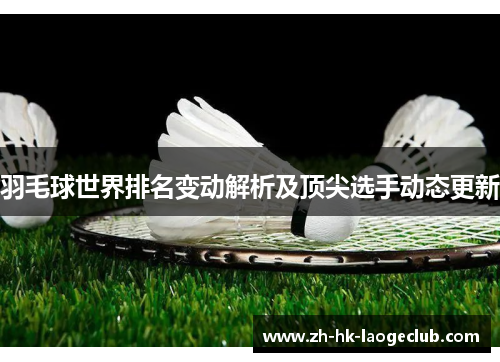 羽毛球世界排名变动解析及顶尖选手动态更新