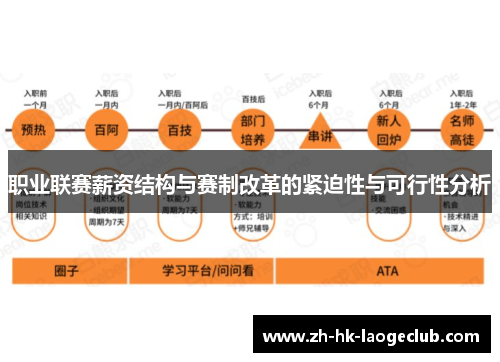 职业联赛薪资结构与赛制改革的紧迫性与可行性分析